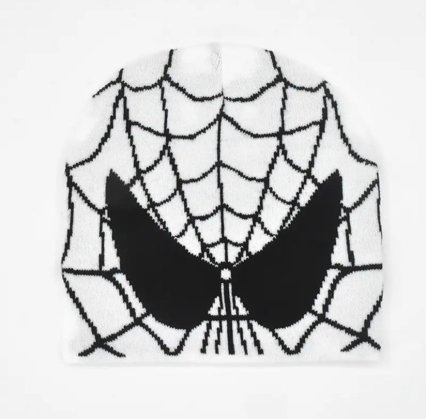 Bonnet type Spider 🕷️🕸️ !