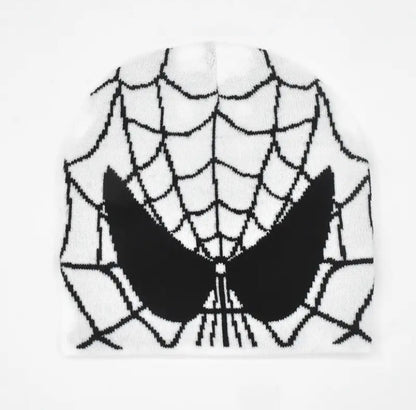 Bonnet type Spider 🕷️🕸️ !