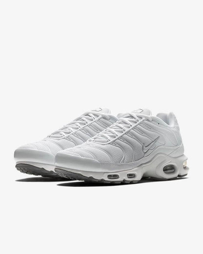 Tn Blanche